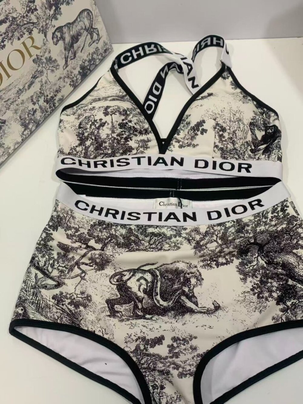 Dior Women's Authentic Bikini